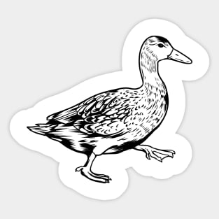 Black and white drawing - duck Sticker